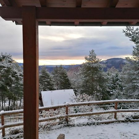 Les Marmotes Camprodon Villa Freixanet de Dalt Bagian luar foto